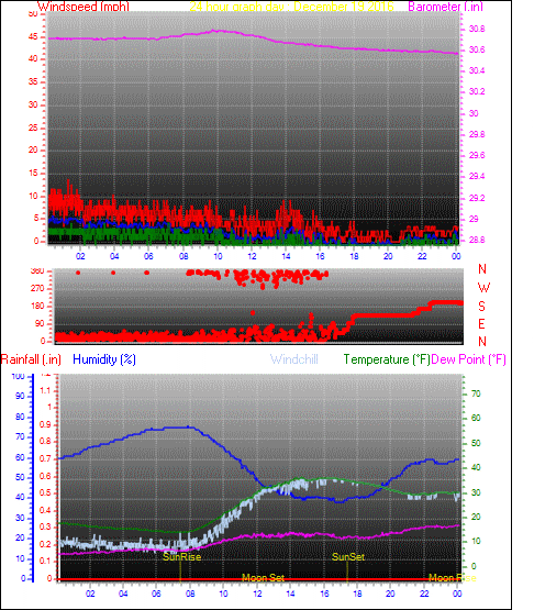 24 Hour Graph for Day 19