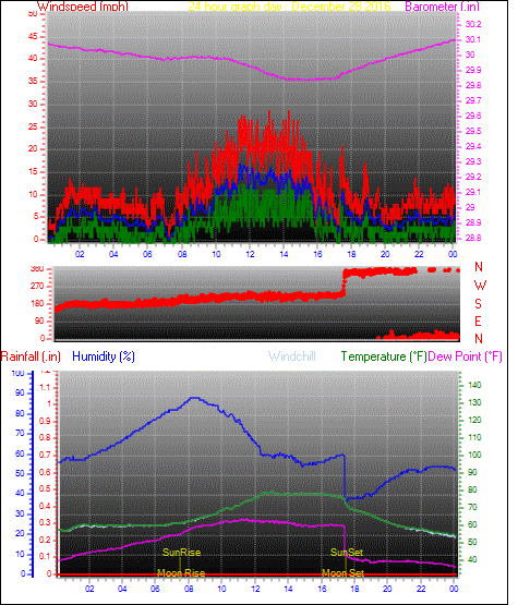 24 Hour Graph for Day 28
